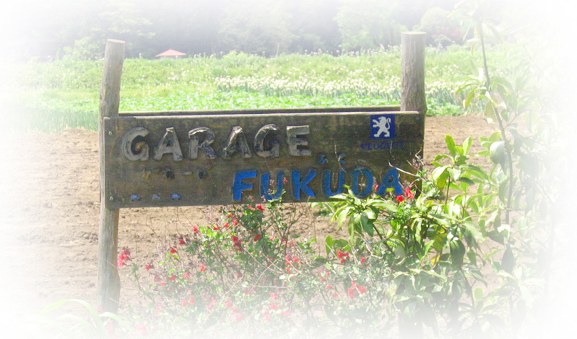gf sign